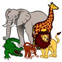 Veranstaltungsbild Tiere der Welt - Afrika